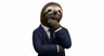 Imagen de perfil de Flojera Responsable