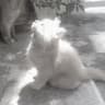Foto do perfil de Flora <3